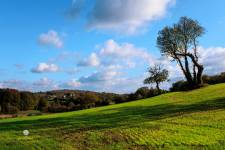 Laurent GALLIANO - PROXILUZ