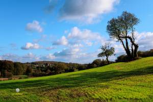 Laurent GALLIANO - PROXILUZ